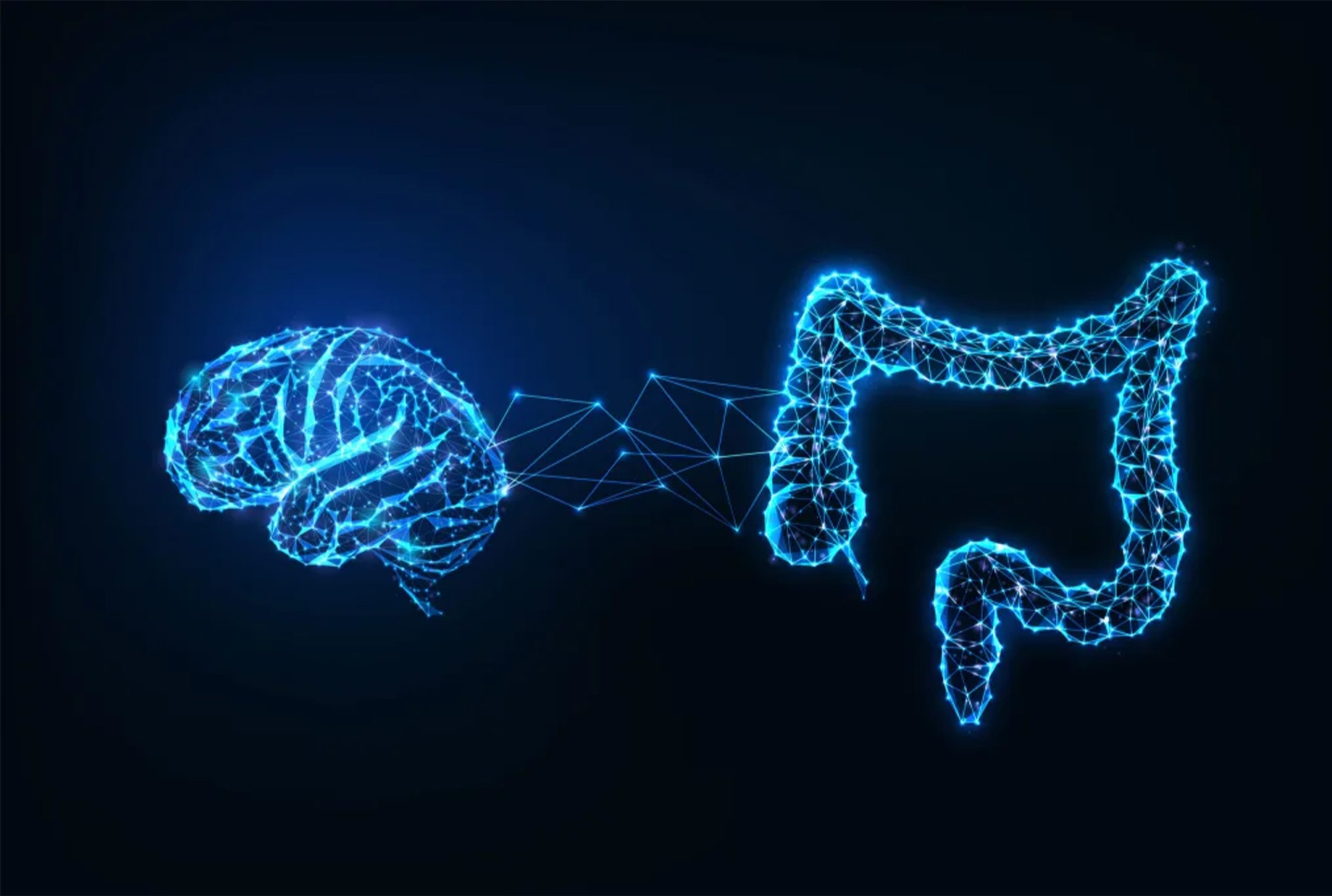 Research Call: The Impact of Halal and Haram Foods on the Gut-Brain-Microbiota Axis from Quranic and Scientific Perspectives