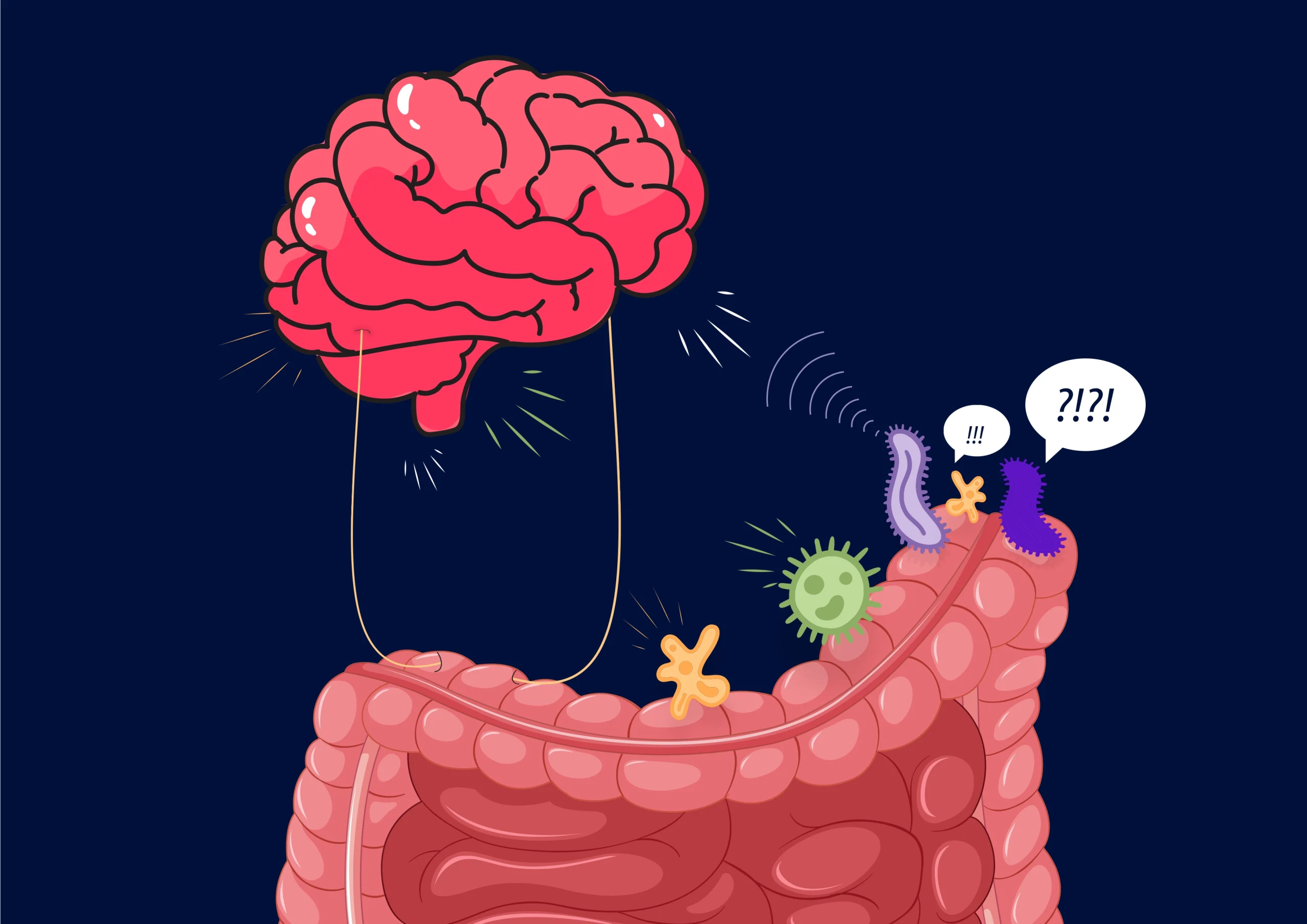 Halal and Haram Foods: The Gut-Brain-Microbiota Axis Through the Lens of the Quran and Science