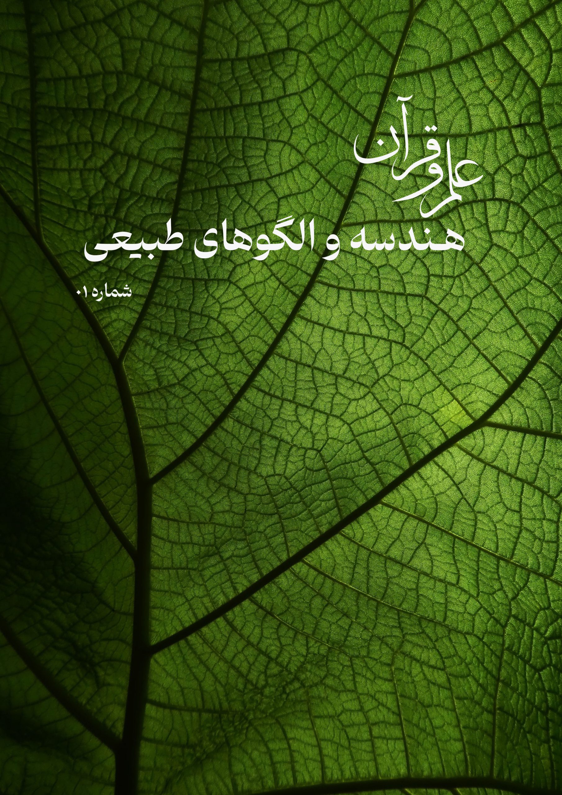 نشریه هندسه والگوهای طبیعی: شماره اول