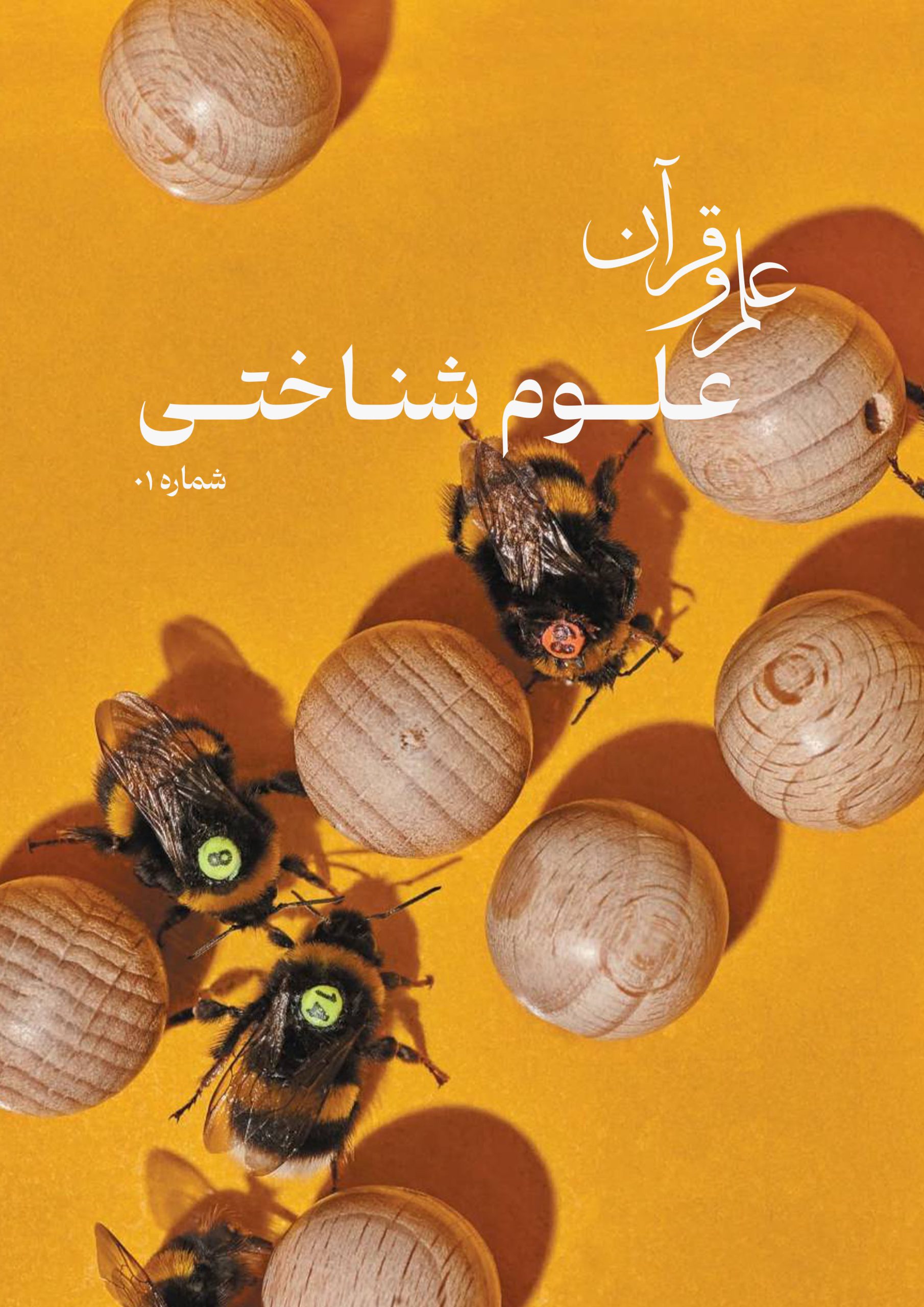 نشریه علوم شناختی: شماره اول